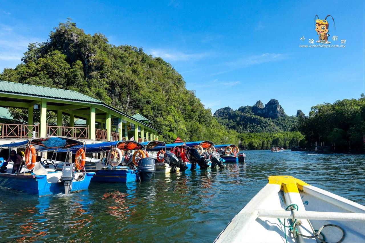 Jelajahi Pesona Hutan Bakau Langkawi: Mangrove Tour yang Tak Terlupakan