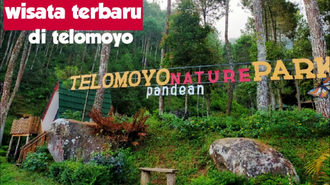 Telomoyo Nature Park: Pesona Alam Menakjubkan di Lereng Merapi